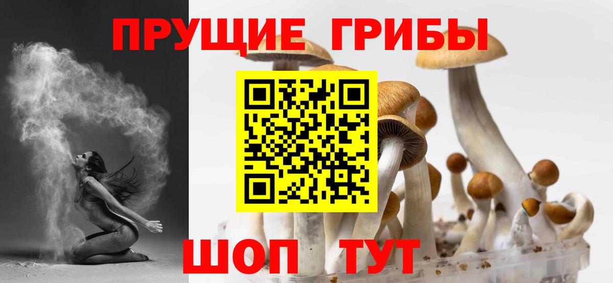 Стрежевой  Псилоцибиновые грибы ЛСД  Галлюциногенные грибы Psilocybine cubensis  Вход с VPN 